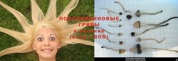 стафф Верхний Тагил