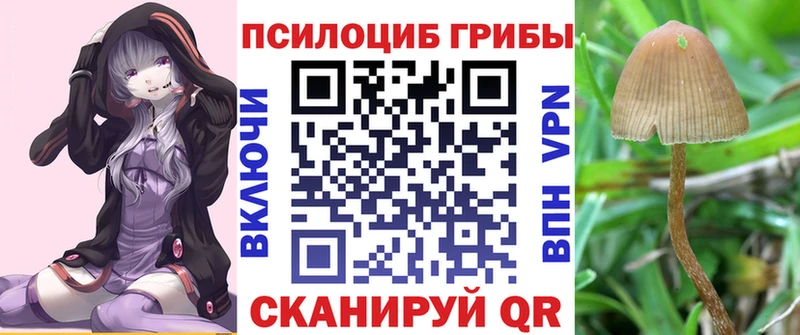 Псилоцибиновые грибы прущие грибы  blacksprut маркетплейс  Лыткарино 