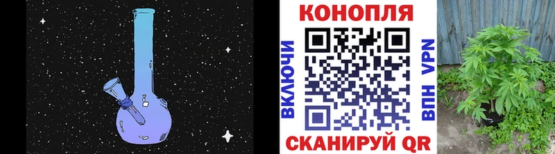 где купить   Лыткарино  Конопля планчик 